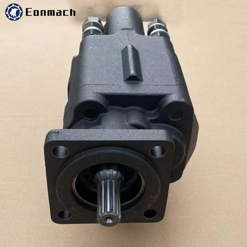 G101-LMS-20/25 Valve And Pump